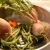 Soup