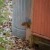 Our little part of Permaculture