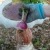 Don't show your Butt Gardening