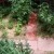 Update Secret Garden
