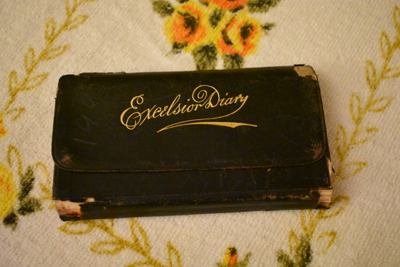 Diary Theodore and Nellie March 1905