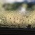 Questions and Answers Moisture and Mold