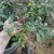 Self-Sufficiency-where we are
